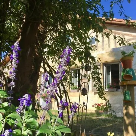 Les Cedres De Nauton Гостевой дом 3*