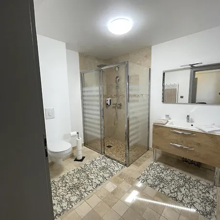 Les Cedres De Nauton 3* Vergoignan