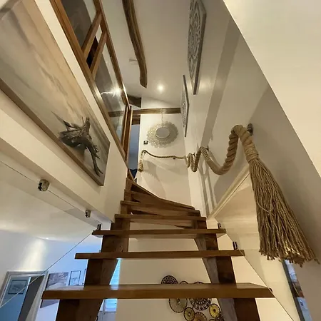 Les Cedres De Nauton Casa de hóspedes Vergoignan